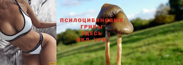 PSILOCYBIN Бугульма